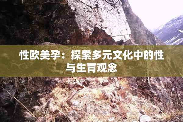 性欧美孕：探索多元文化中的性与生育观念