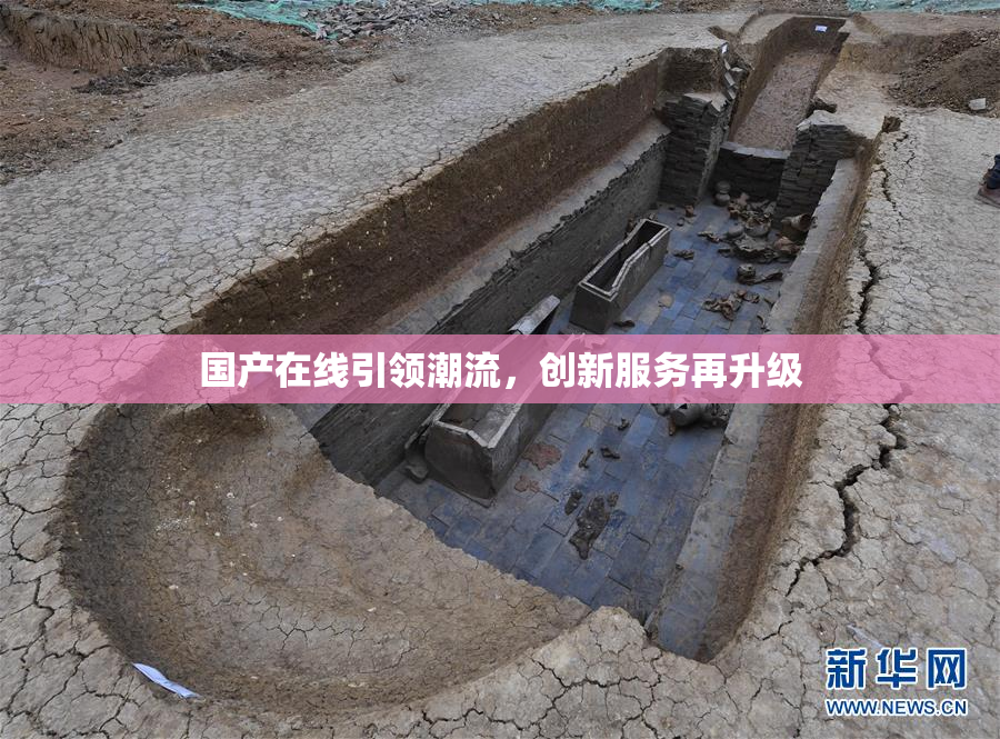 国产在线引领潮流，创新服务再升级