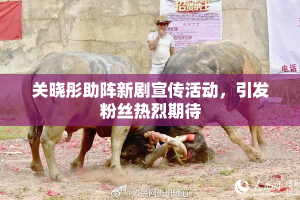 关晓彤助阵新剧宣传活动，引发粉丝热烈期待