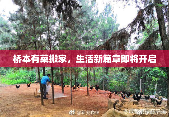 桥本有菜搬家，生活新篇章即将开启