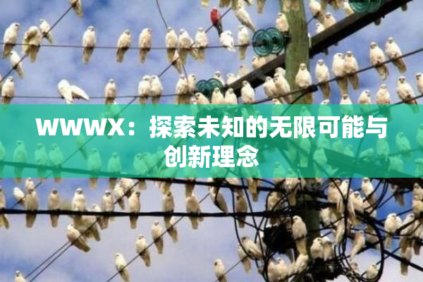 WWWX：探索未知的无限可能与创新理念