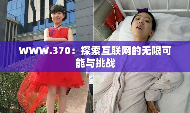 WWW.370：探索互联网的无限可能与挑战