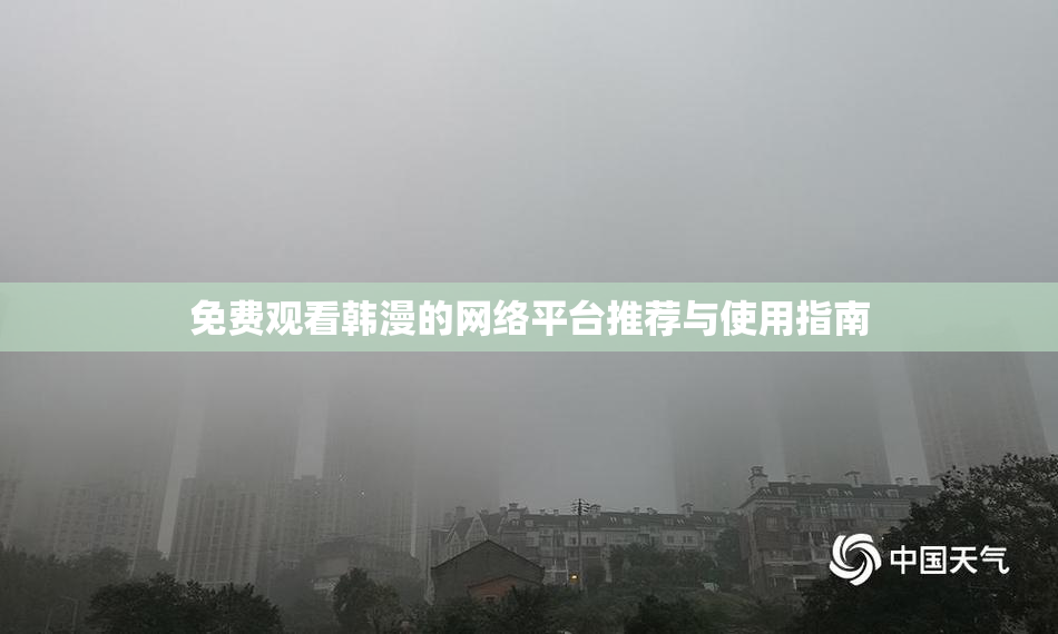 免费观看韩漫的网络平台推荐与使用指南