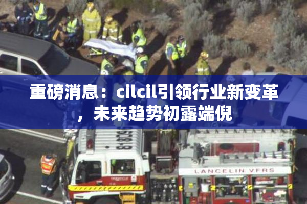 重磅消息：cilcil引领行业新变革，未来趋势初露端倪