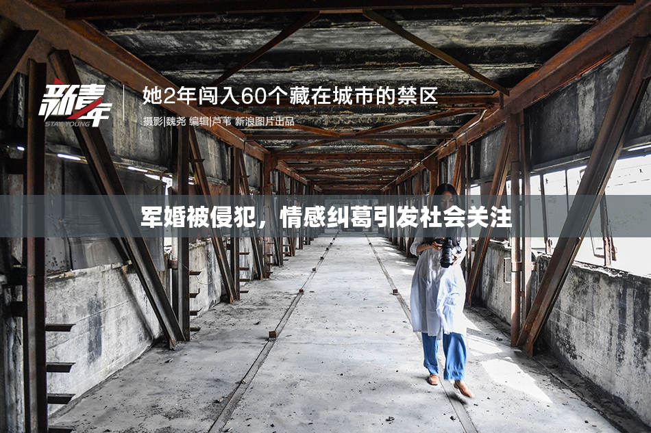 军婚被侵犯，情感纠葛引发社会关注
