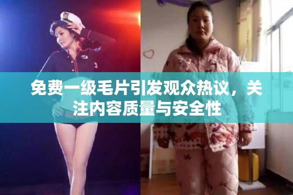 免费一级毛片引发观众热议，关注内容质量与安全性