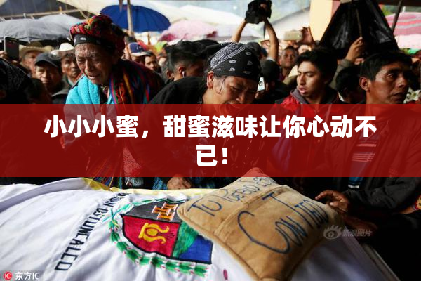 小小小蜜，甜蜜滋味让你心动不已！