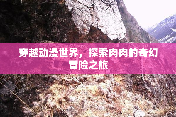 穿越动漫世界，探索肉肉的奇幻冒险之旅