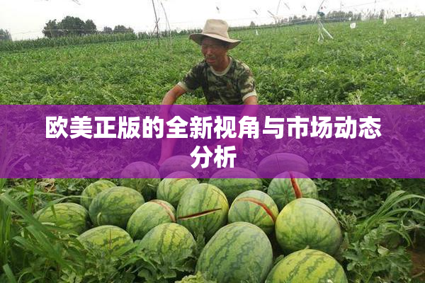 欧美正版的全新视角与市场动态分析