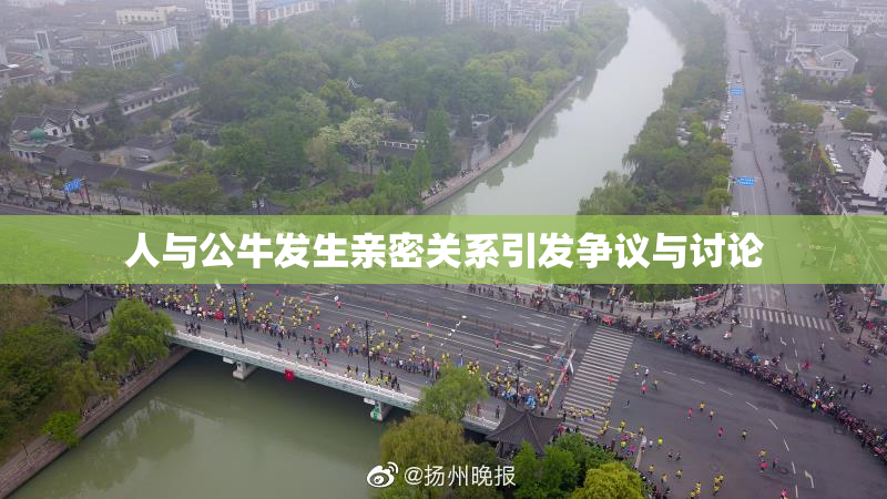 人与公牛发生亲密关系引发争议与讨论