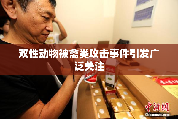 双性动物被禽类攻击事件引发广泛关注