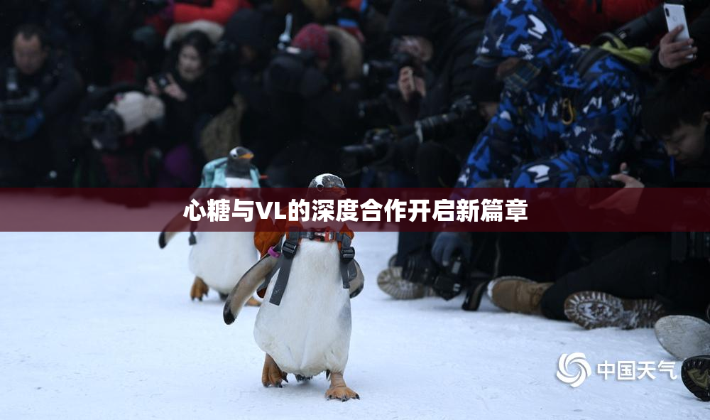心糖与VL的深度合作开启新篇章