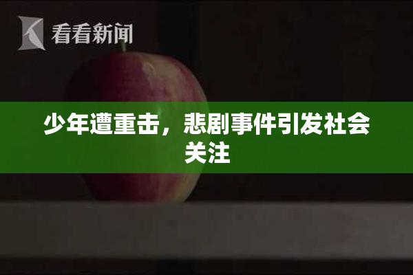 少年遭重击，悲剧事件引发社会关注