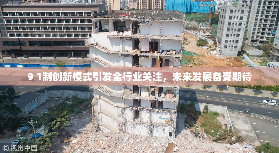 9 1制创新模式引发全行业关注，未来发展备受期待