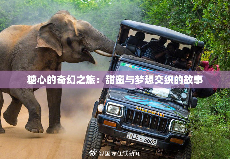 糖心的奇幻之旅：甜蜜与梦想交织的故事