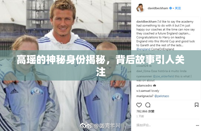 高瑶的神秘身份揭秘，背后故事引人关注