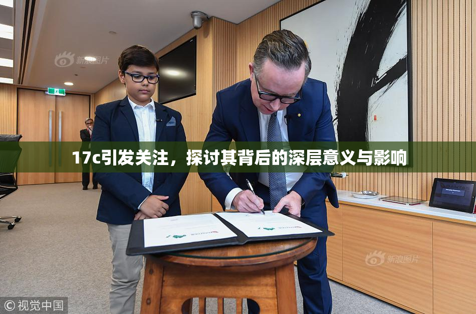 17c引发关注，探讨其背后的深层意义与影响