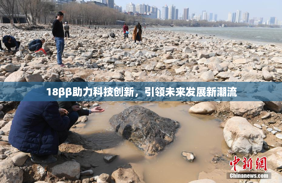 18ββ助力科技创新，引领未来发展新潮流