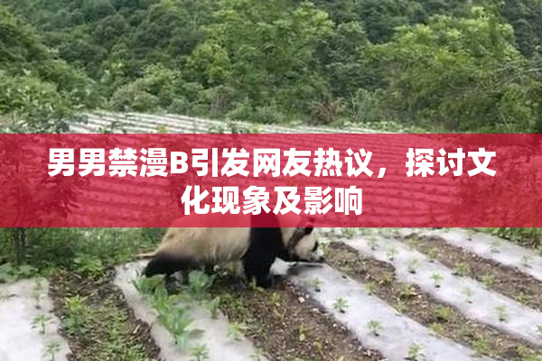 男男禁漫B引发网友热议，探讨文化现象及影响