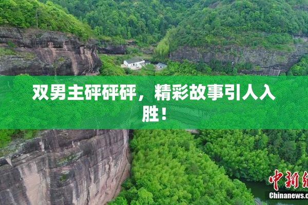 双男主砰砰砰，精彩故事引人入胜！