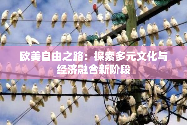 欧美自由之路：探索多元文化与经济融合新阶段