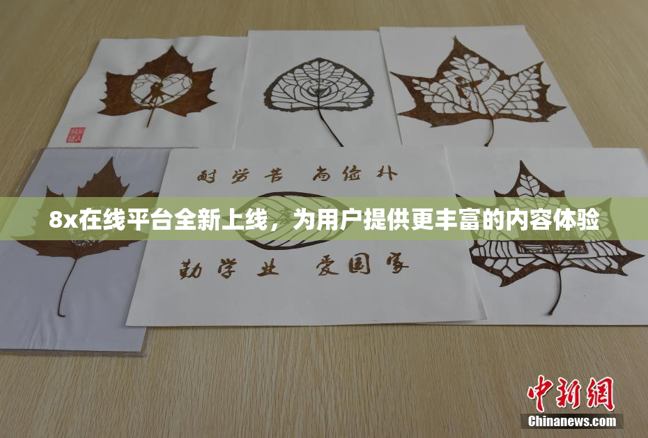8x在线平台全新上线，为用户提供更丰富的内容体验
