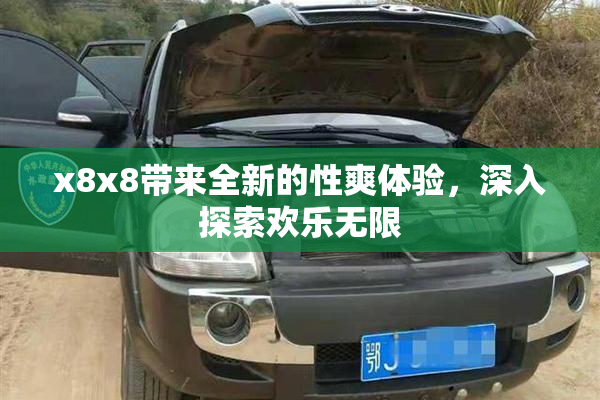 x8x8带来全新的性爽体验，深入探索欢乐无限