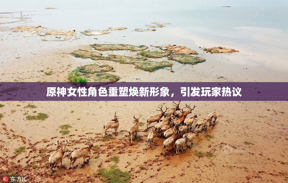 原神女性角色重塑焕新形象，引发玩家热议