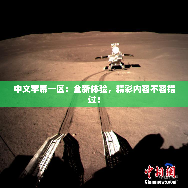 中文字幕一区：全新体验，精彩内容不容错过！
