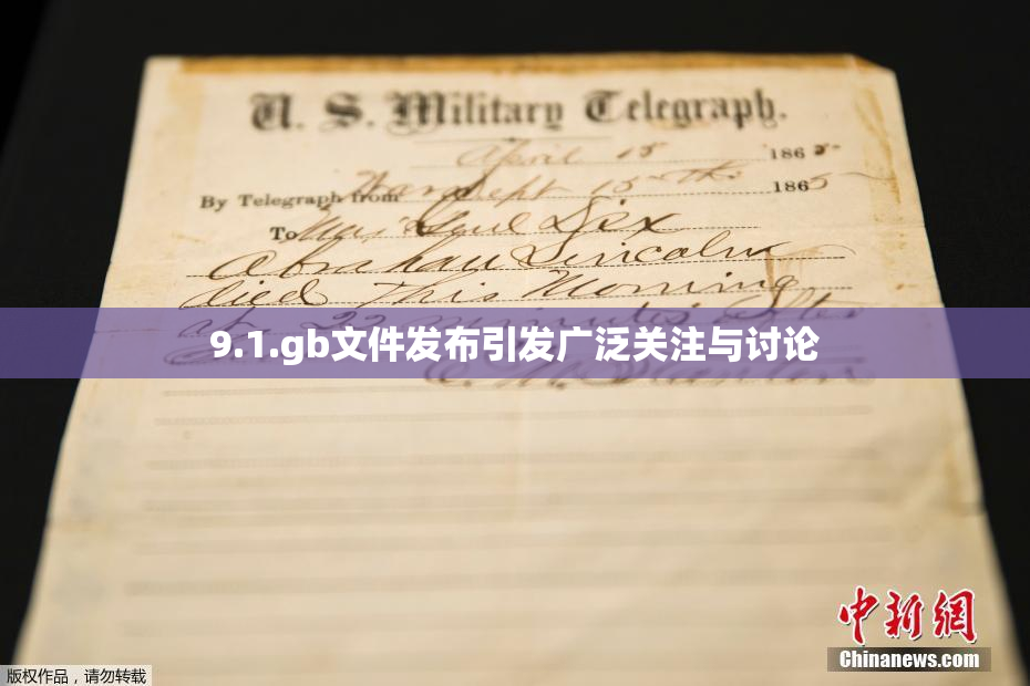 9.1.gb文件发布引发广泛关注与讨论