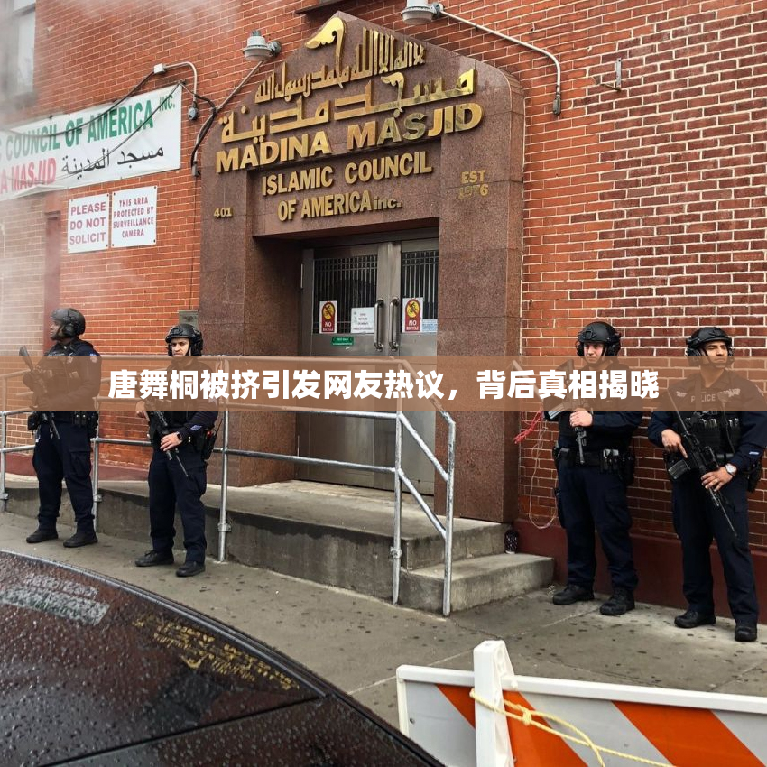 唐舞桐被挤引发网友热议，背后真相揭晓