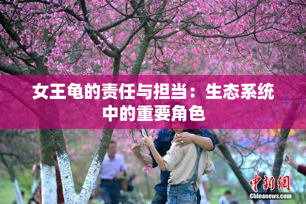女王龟的责任与担当：生态系统中的重要角色