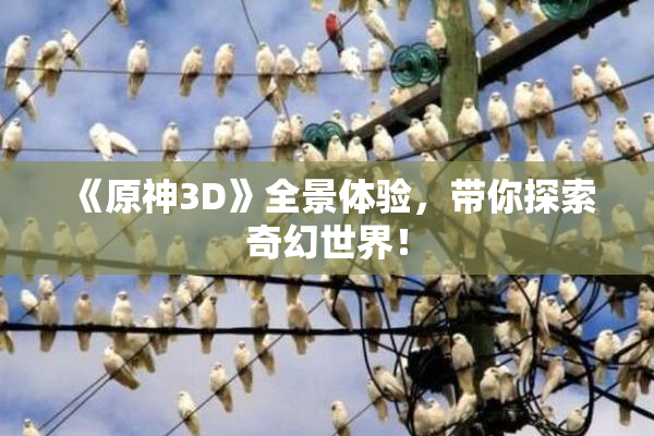 《原神3D》全景体验，带你探索奇幻世界！