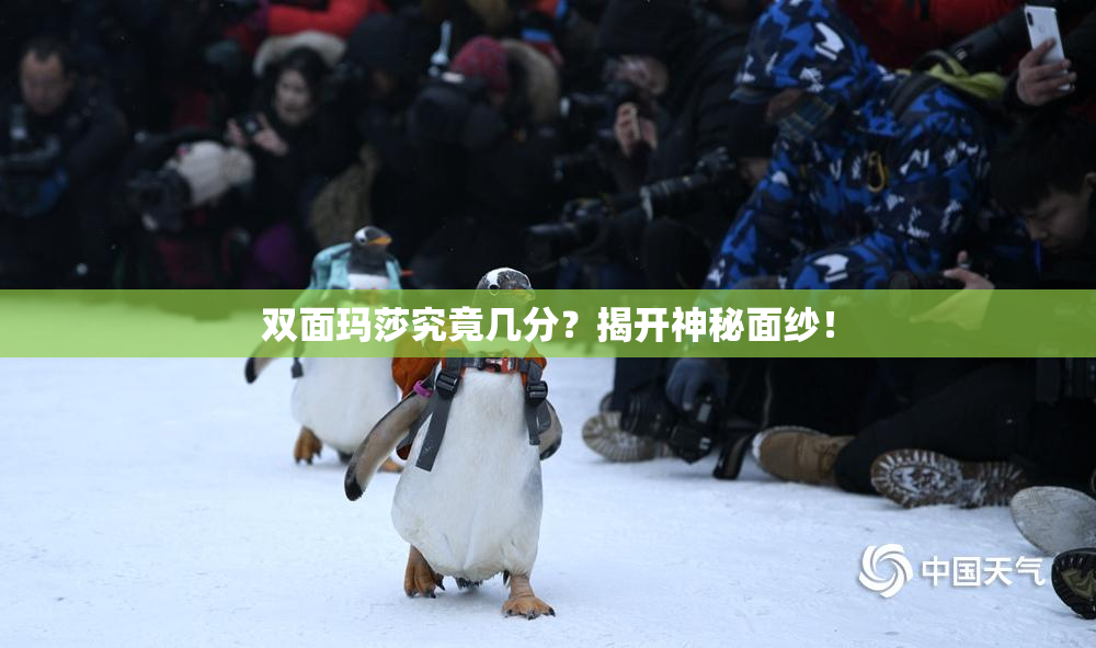 双面玛莎究竟几分？揭开神秘面纱！