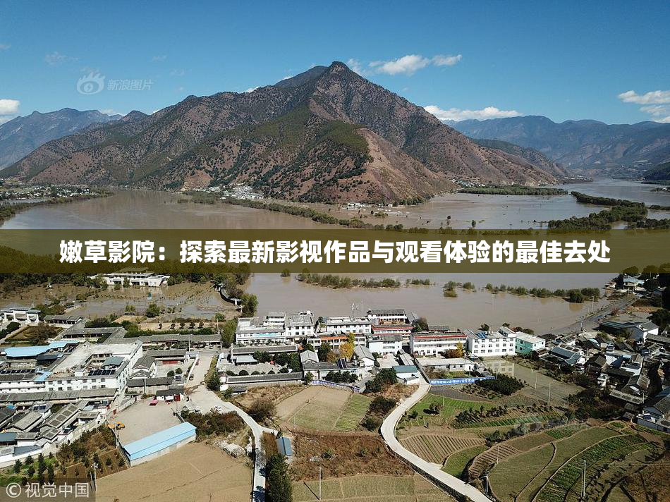 嫩草影院：探索最新影视作品与观看体验的最佳去处