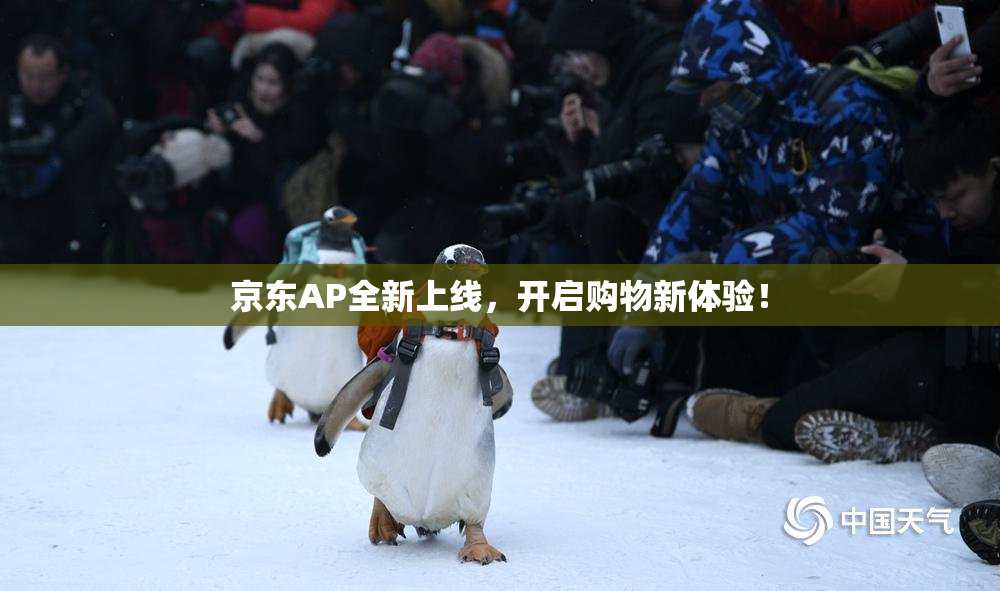 京东AP全新上线，开启购物新体验！