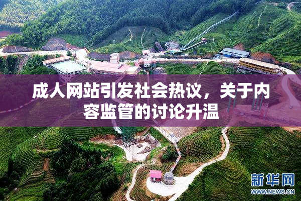 成人网站引发社会热议，关于内容监管的讨论升温