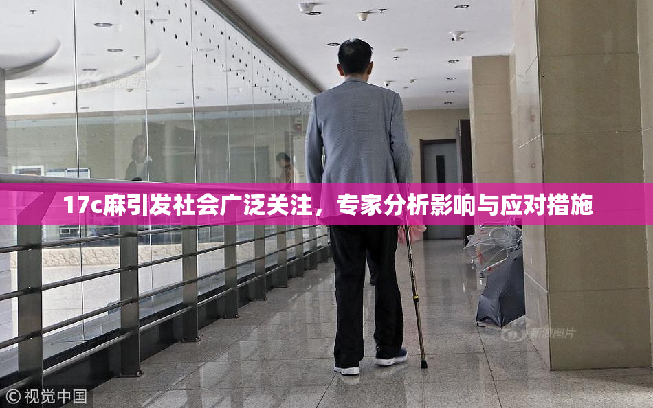 17c麻引发社会广泛关注，专家分析影响与应对措施