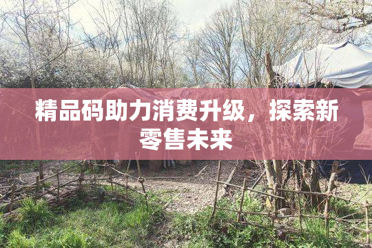 精品码助力消费升级，探索新零售未来