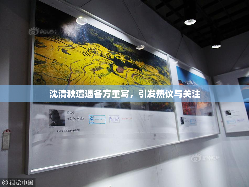 沈清秋遭遇各方重写，引发热议与关注