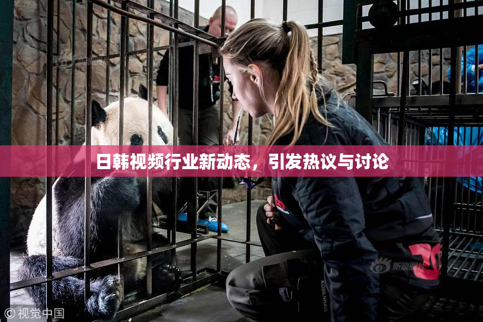 日韩视频行业新动态，引发热议与讨论