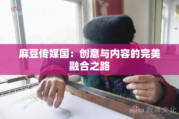 麻豆传媒国：创意与内容的完美融合之路