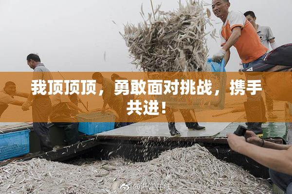我顶顶顶，勇敢面对挑战，携手共进！