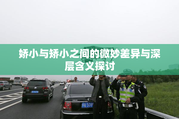 娇小与矫小之间的微妙差异与深层含义探讨