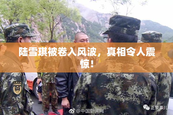陆雪琪被卷入风波，真相令人震惊！