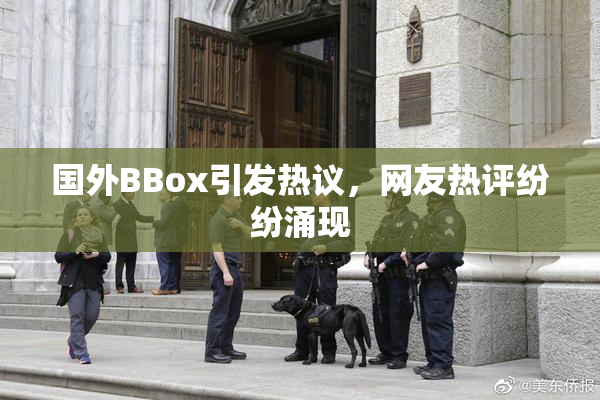 国外BBox引发热议，网友热评纷纷涌现