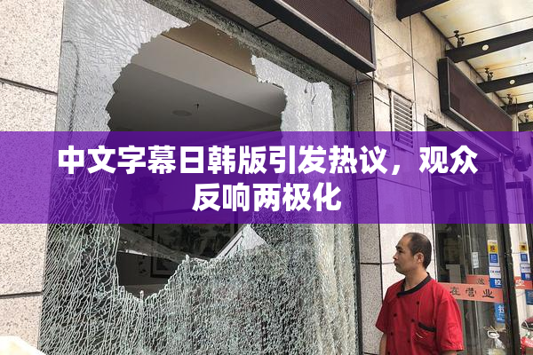 中文字幕日韩版引发热议，观众反响两极化