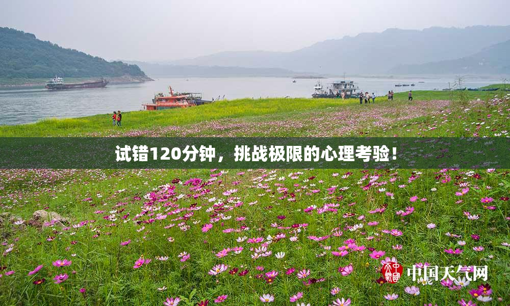 试错120分钟，挑战极限的心理考验！