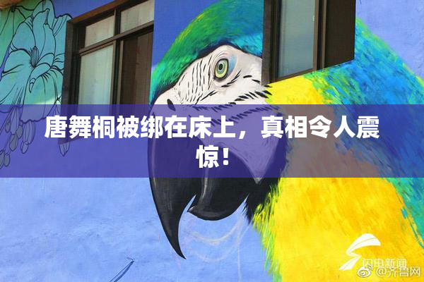 唐舞桐被绑在床上，真相令人震惊！