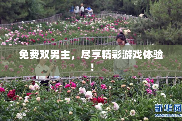 免费双男主，尽享精彩游戏体验！